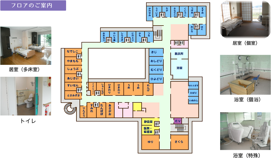 コスモスの里本館 平面図